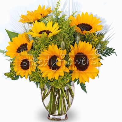 Bouquet di Girasoli